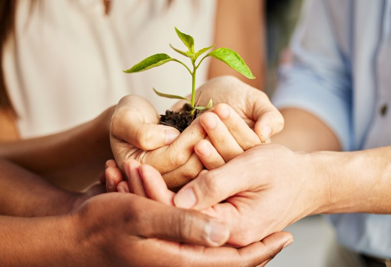 Volunteer Support